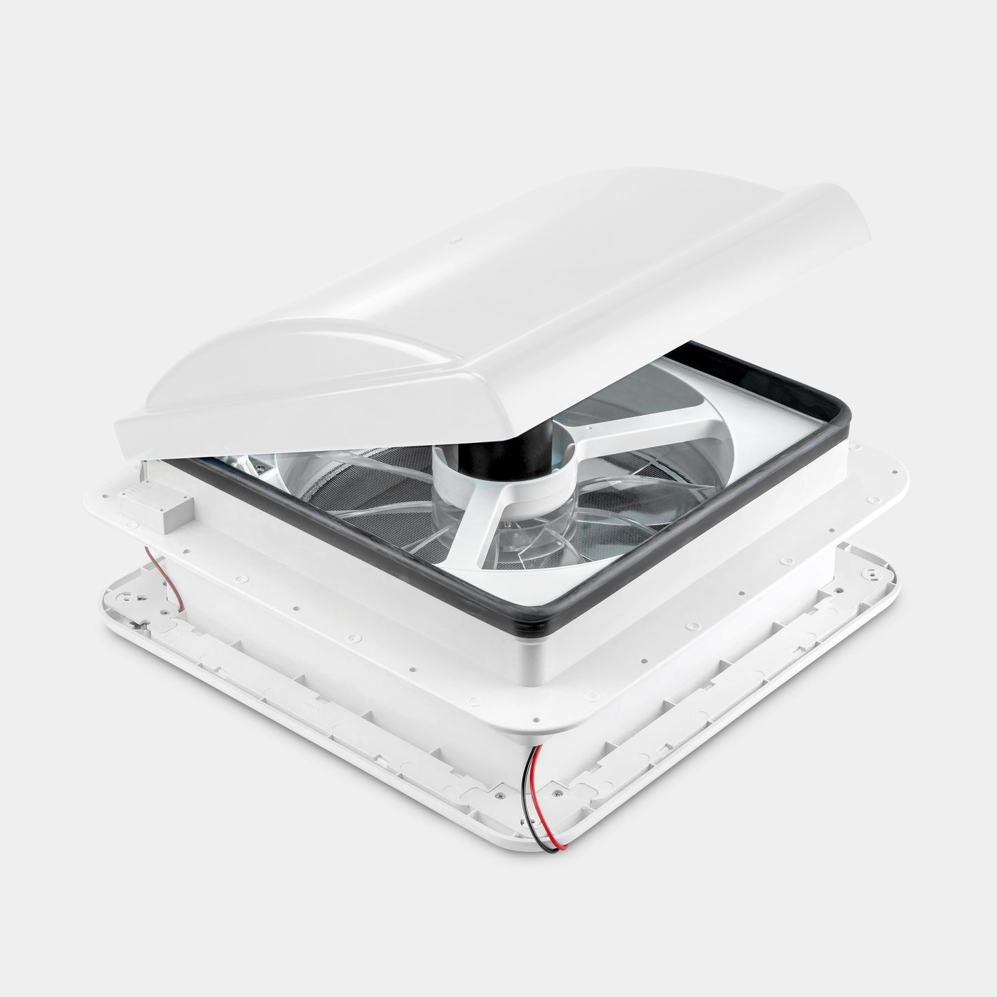 White Lid